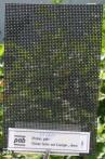 sunshade/sunshade3.mini.jpg